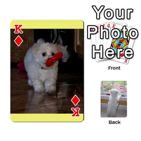 King Playing Cards With Snowy s Photos By Xinpei Front - DiamondK