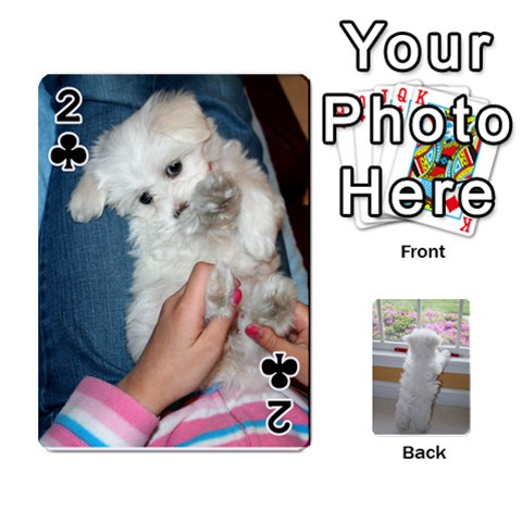 Playing Cards With Snowy s Photos By Xinpei Front - Club2