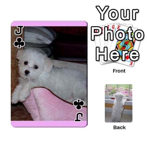 Jack Playing Cards With Snowy s Photos By Xinpei Front - ClubJ