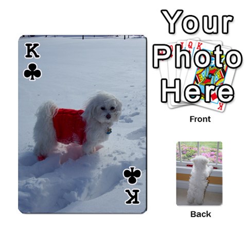 King Playing Cards With Snowy s Photos By Xinpei Front - ClubK
