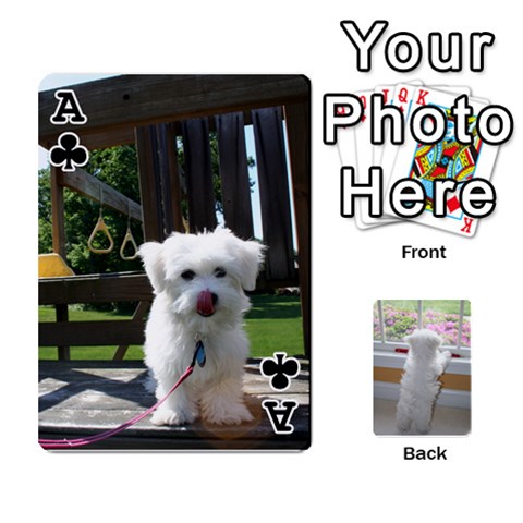 Ace Playing Cards With Snowy s Photos By Xinpei Front - ClubA