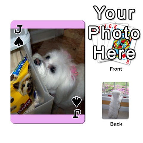 Jack Playing Cards With Snowy s Photos By Xinpei Front - SpadeJ