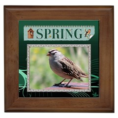 Spring Framed Tile