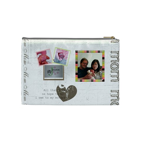 Teresa s Bag By Randi L  Stanley Back