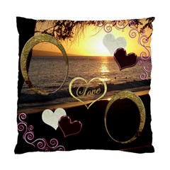 I Heart You 31 love 2 photo cushion case - Standard Cushion Case (One Side)