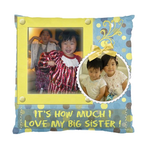 Little Broether By Meggie Tseng Front