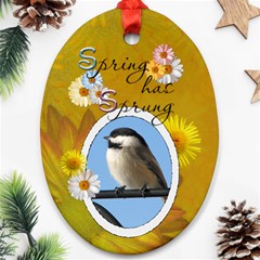 Spring Has Sprung Oval Ornament