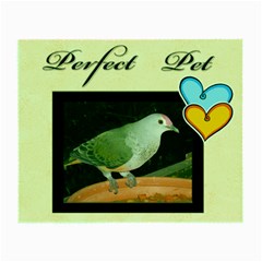 Perfect Pet Small Glass Cloth - Small Glasses Cloth Perfect Pet Small Glass Cloth - Small Glasses Cloth