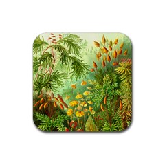 Paleozooic Plants - Rubber Coaster (Square)