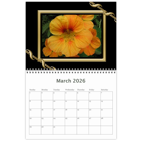 Black And Gold (any Year) 2026 Calendar By Deborah Mar 2026