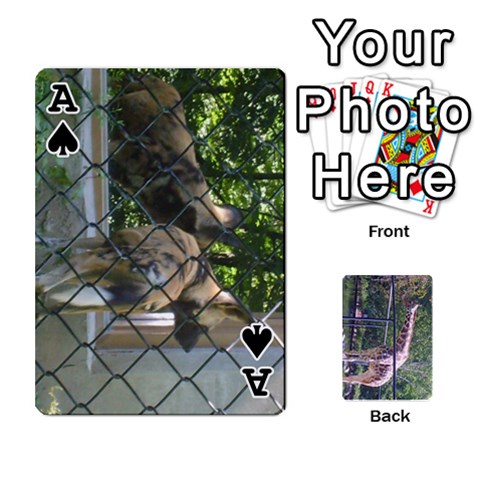 Ace Zoo Animal Playing Cards By Kim Blair Front - SpadeA