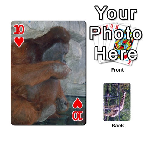 Zoo Animal Playing Cards By Kim Blair Front - Heart10