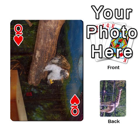 Queen Zoo Animal Playing Cards By Kim Blair Front - HeartQ