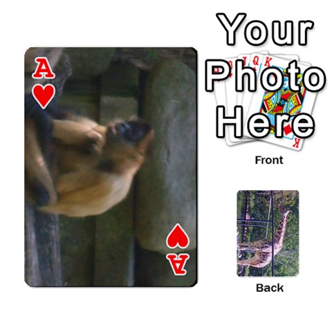 Ace Zoo Animal Playing Cards By Kim Blair Front - HeartA
