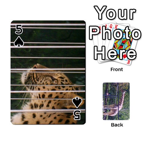 Zoo Animal Playing Cards By Kim Blair Front - Spade5