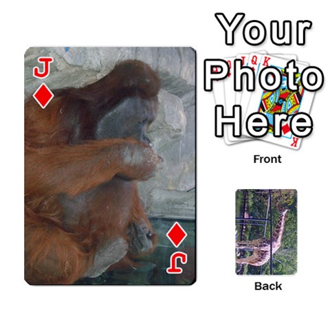 Jack Zoo Animal Playing Cards By Kim Blair Front - DiamondJ