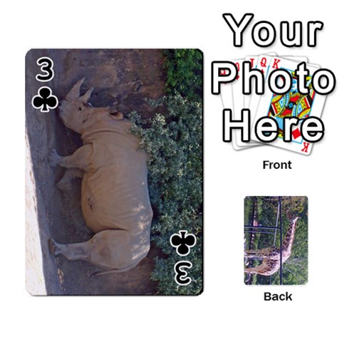 Zoo Animal Playing Cards By Kim Blair Front - Club3