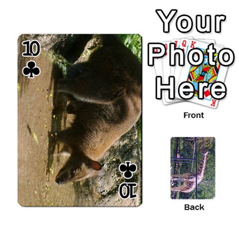 Zoo Animal Playing Cards By Kim Blair Front - Club10