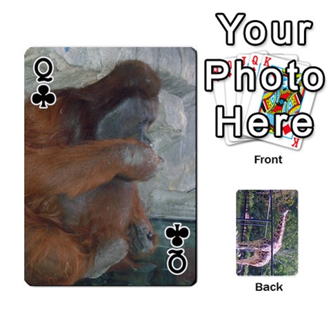 Queen Zoo Animal Playing Cards By Kim Blair Front - ClubQ