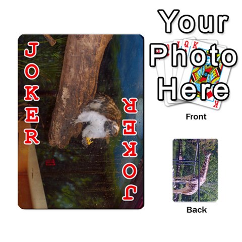 Zoo Animal Playing Cards By Kim Blair Front - Joker2