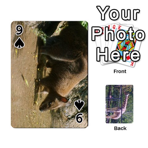 Zoo Animal Playing Cards By Kim Blair Front - Spade9