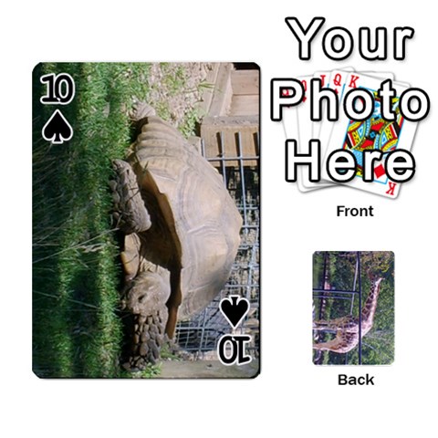 Zoo Animal Playing Cards By Kim Blair Front - Spade10