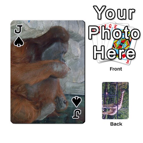 Jack Zoo Animal Playing Cards By Kim Blair Front - SpadeJ