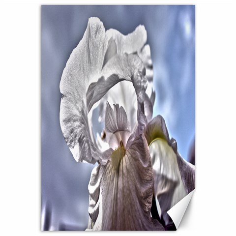 Angel Iris 1 By Alana 11.88 x17.36  Canvas - 1