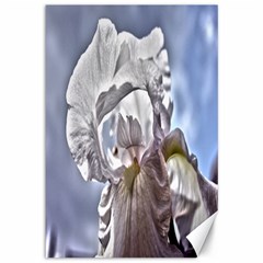 Angel Iris 1 - Canvas 12  x 18 