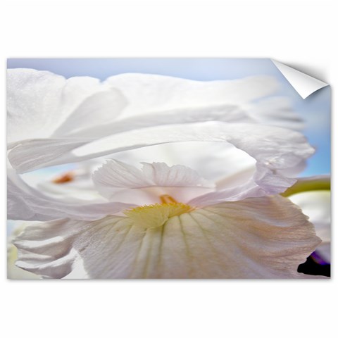 Sherrie s Iris By Alana 11.88 x17.36  Canvas - 1