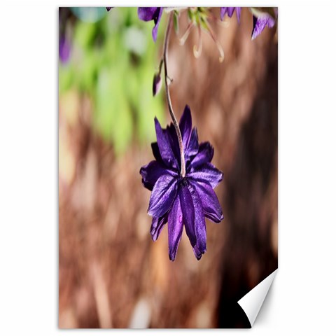 Underneath The Columbine By Alana 11.88 x17.36  Canvas - 1
