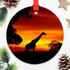 giraffe - Ornament (Round)