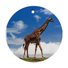 giraffe2 - Ornament (Round)