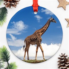 giraffe2 - Ornament (Round)