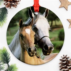 horse1 - Ornament (Round)