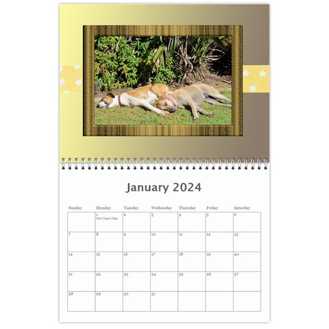 Tutti General Purpose (any Year) Calendar 2024 By Deborah Jan 2024