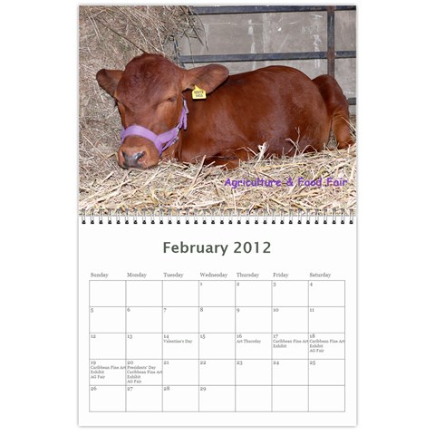 2012 Stx Calendar By John Connor Feb 2012