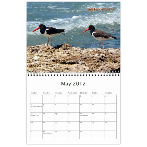 2012 Stx Calendar By John Connor May 2012