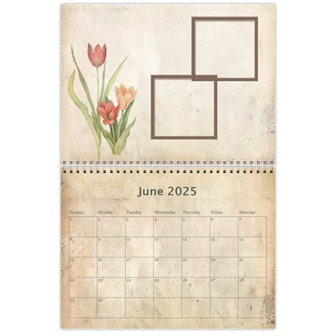 Cocoa Botanica Calendar 2025 By Catvinnat Jun 2025