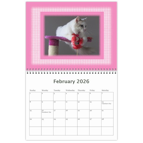 Pretty In Pink 2026 (any Year) Calendar By Deborah Feb 2026