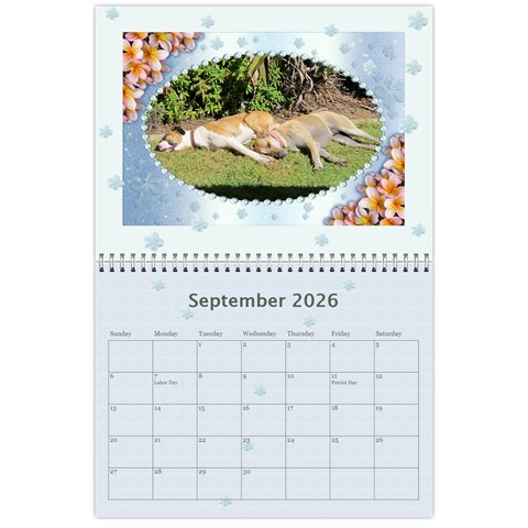Framed With Flowers 2026 (any Year) Calendar By Deborah Sep 2026