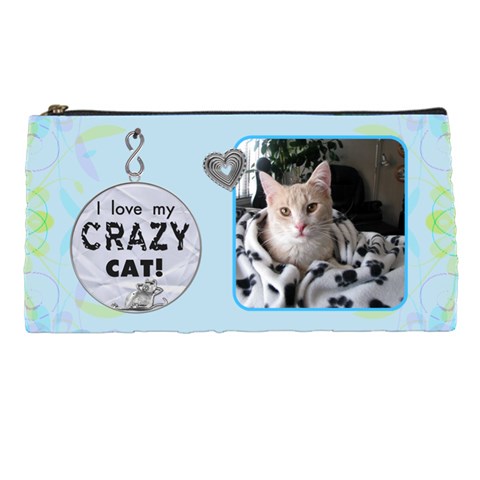 Crazy Cat Pencil Case By Lil Front