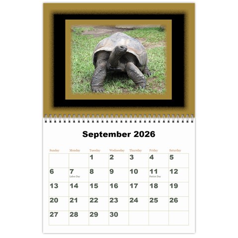 All Framed 2026 Large Number Calendar By Deborah Sep 2026
