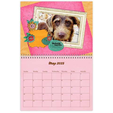 2025 Love/family, Turtle May 2025