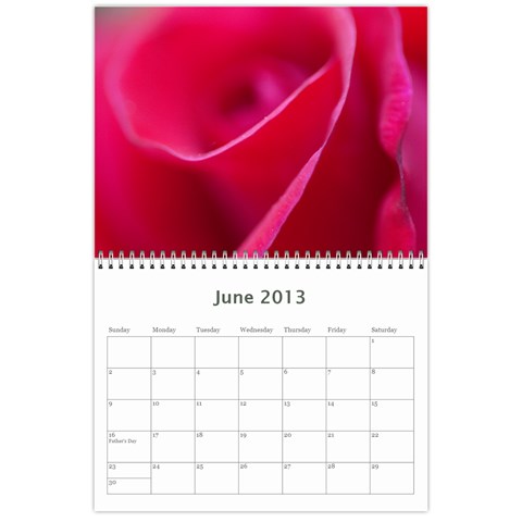 2012/13 Calendar By Tim Nichols Jun 2013