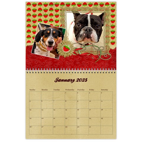 Berry Much/love Jan 2025