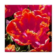 hot tulips face towel