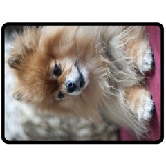 Harley Blanket - Fleece Blanket (Large)