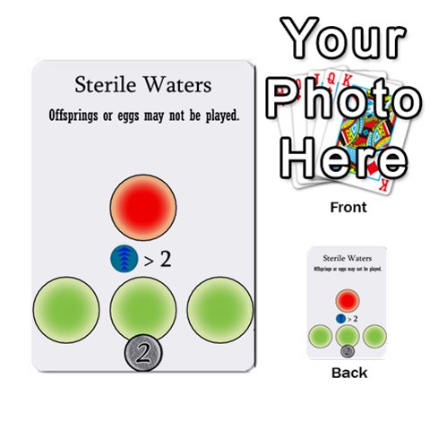 Wartemia2 By Pierre Front 49
