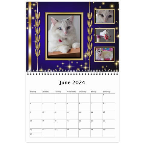 Celebration Calendar 2024 (any Year) By Deborah Jun 2024